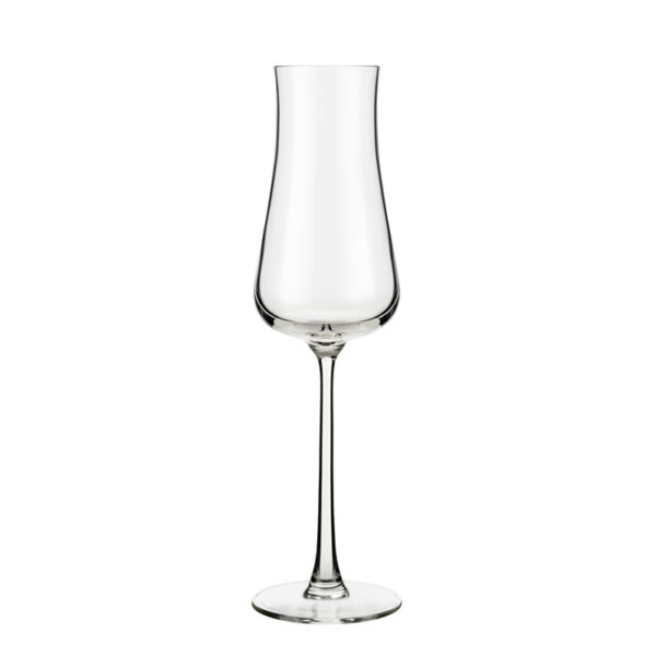 Libbey Virtuoso Copa Champagne 236 ml